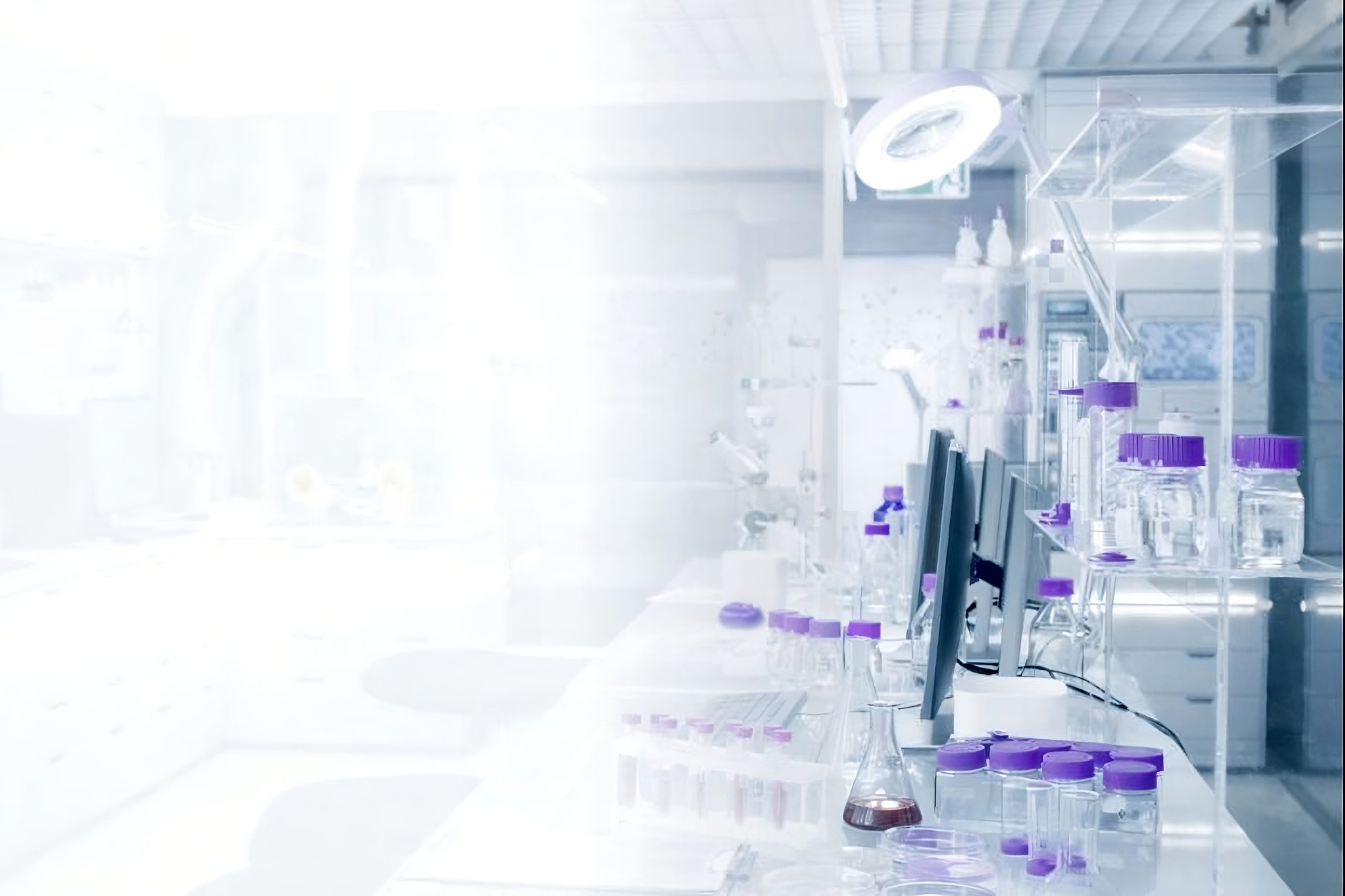 Purple Peptides research laboratory